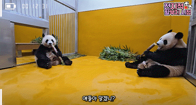 cLDhSb.gif