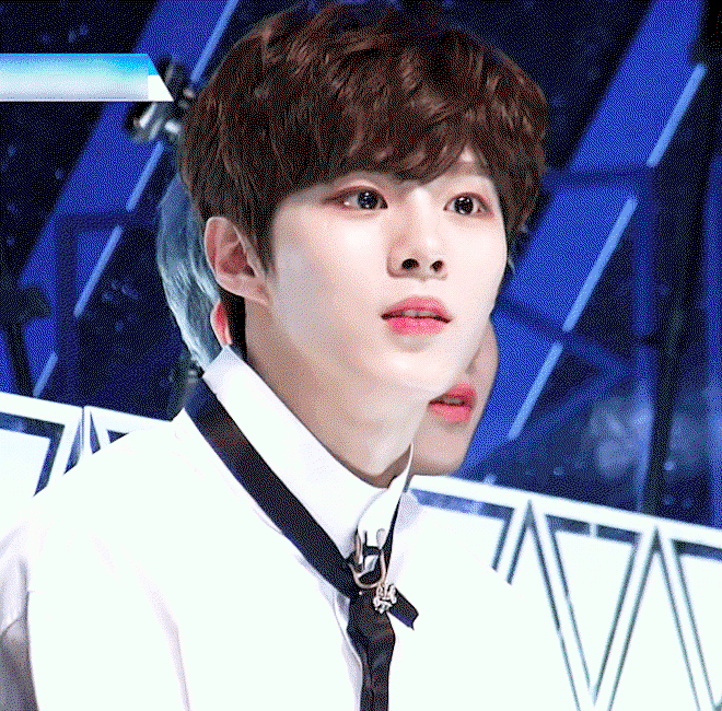 cMAyYN.gif