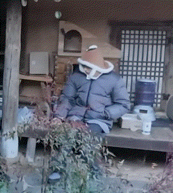 cMcqam.gif
