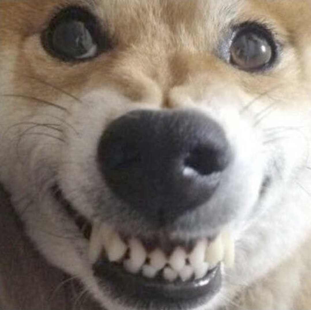 cMghQi