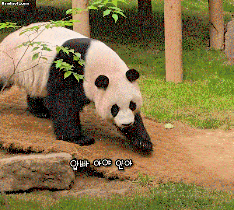 cOcUdr.gif