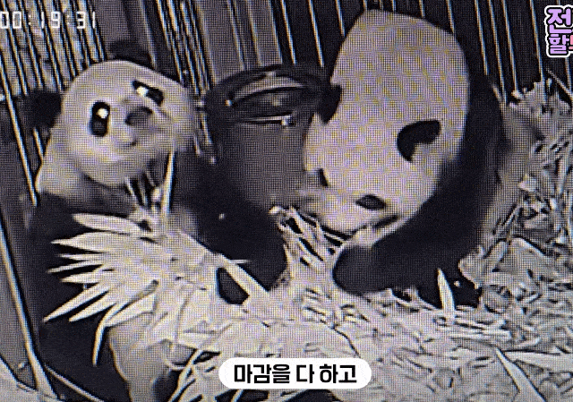 cQAJHh.gif