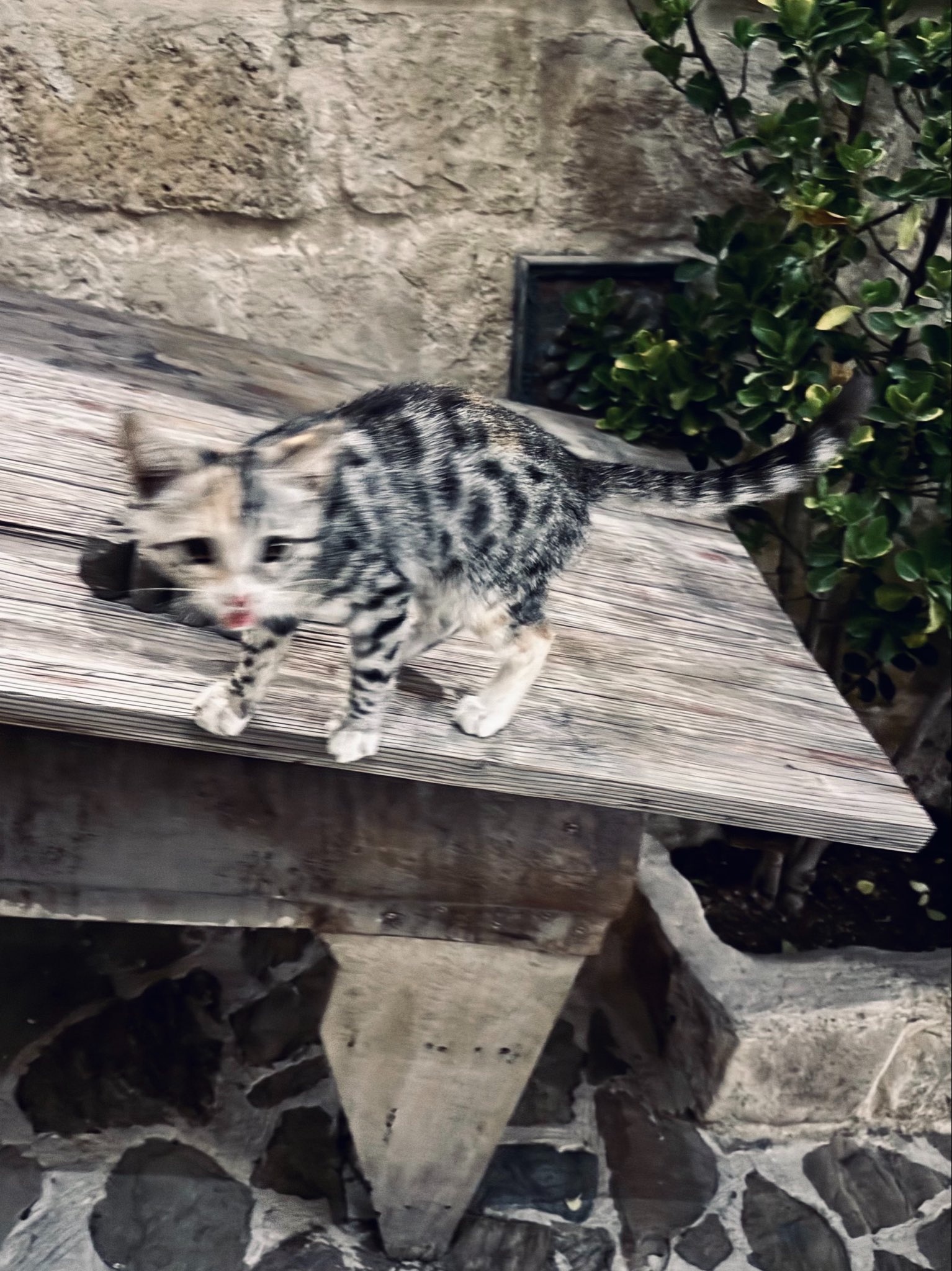 cUYKuk