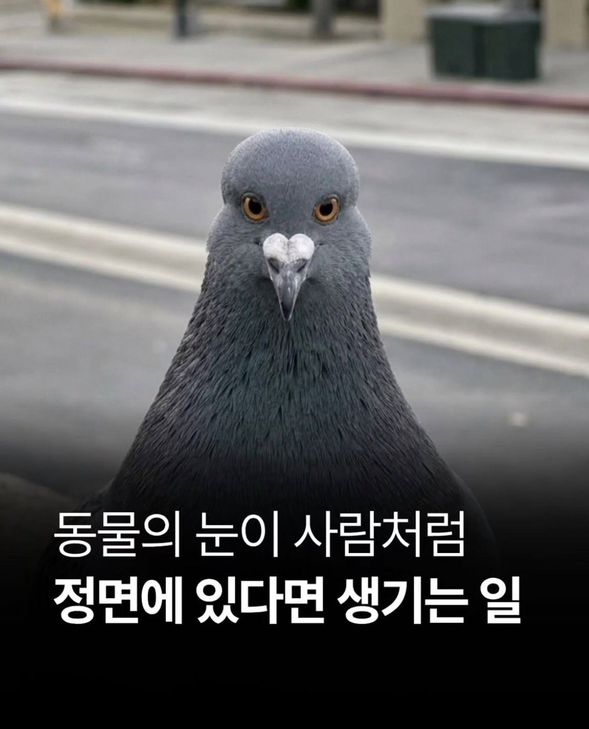 cVFUJr
