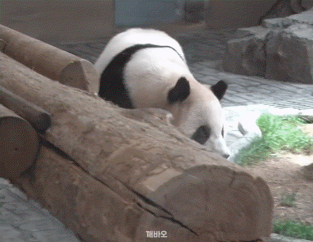cVPPdk.gif