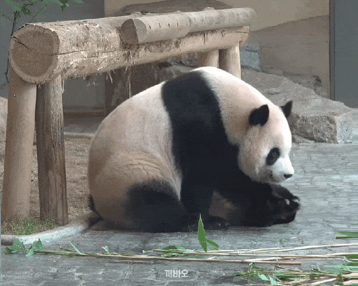 cVXEyq.gif