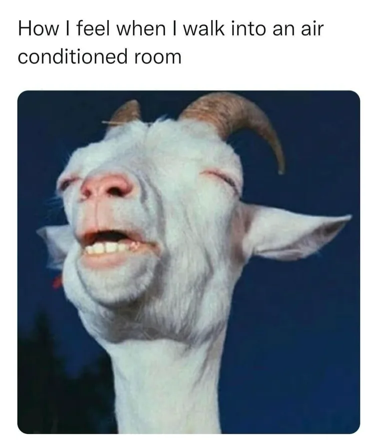 cXPckY