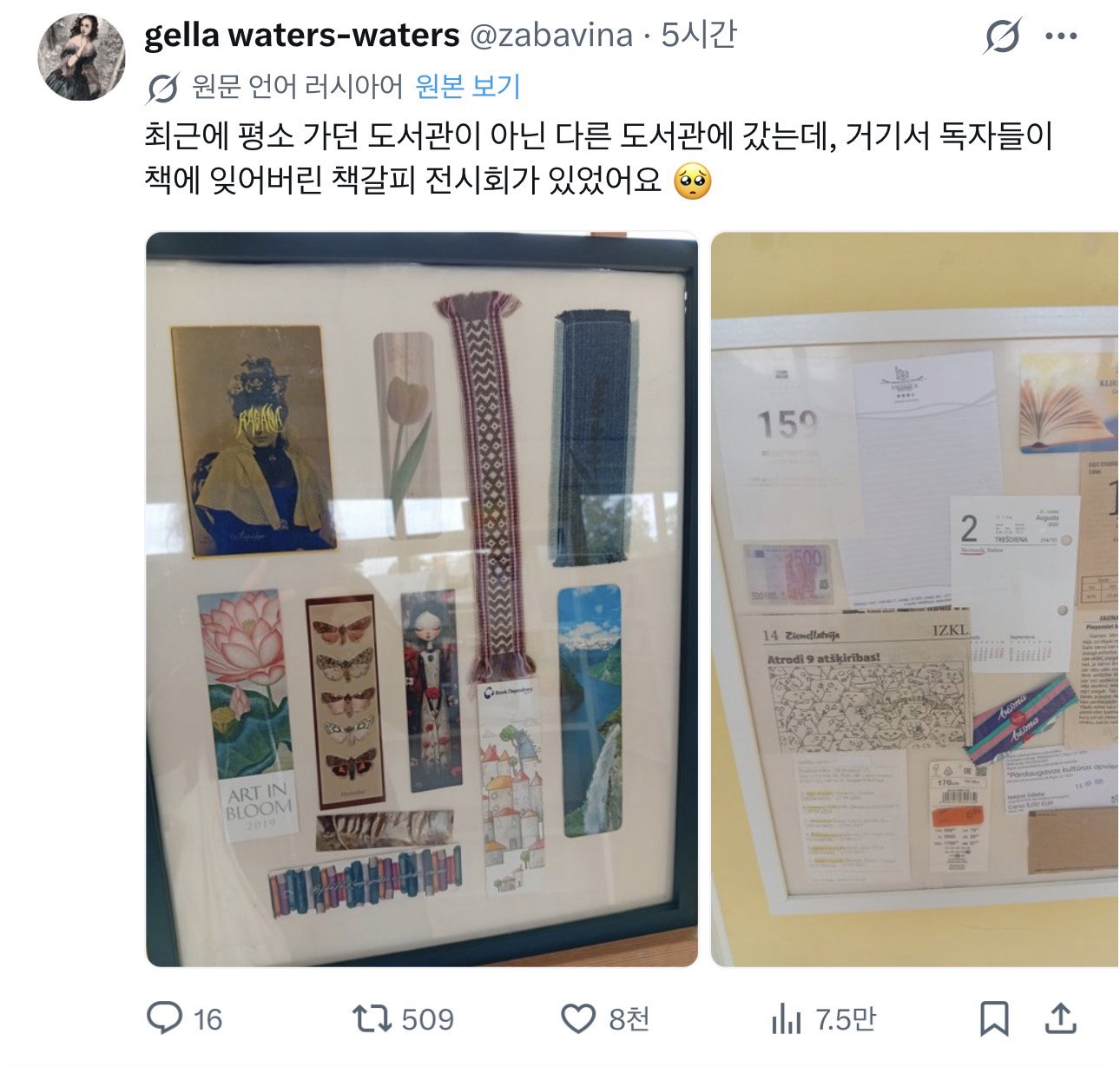 cXRlwu