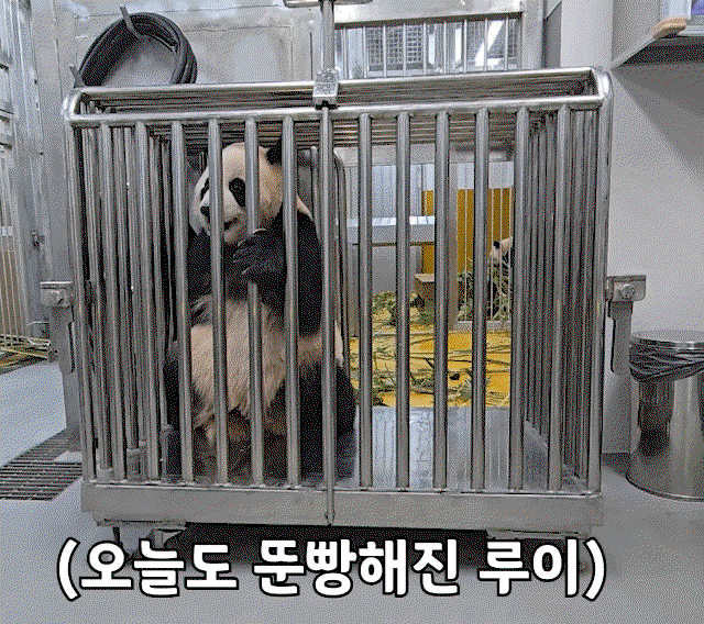cXxmAu.gif