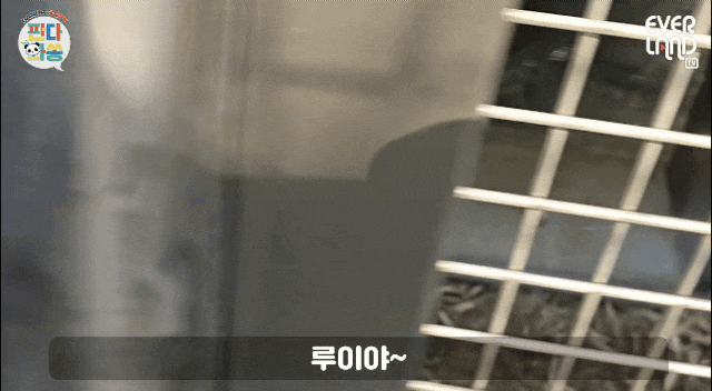 cZwUAO.gif