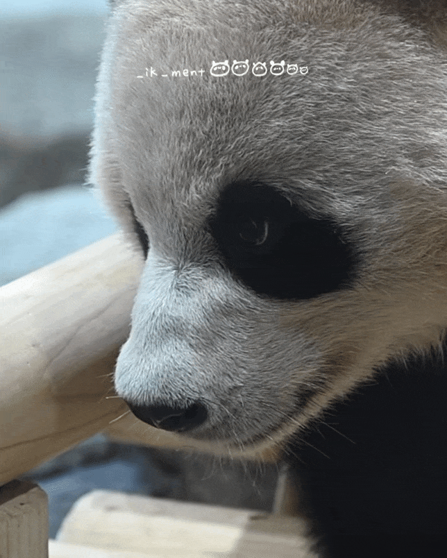 caKnWG.gif