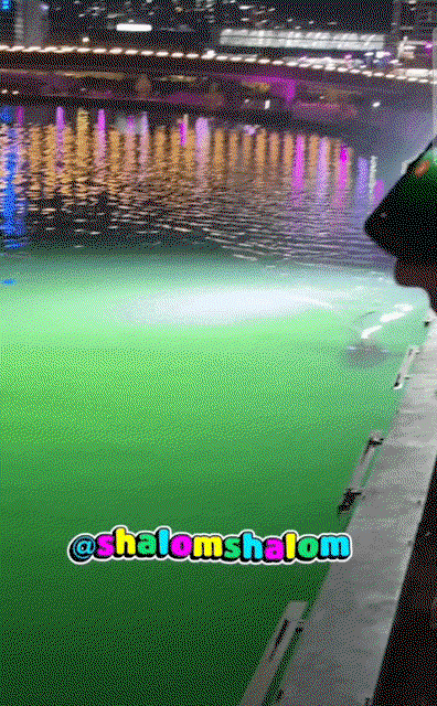 cbGUJF.gif