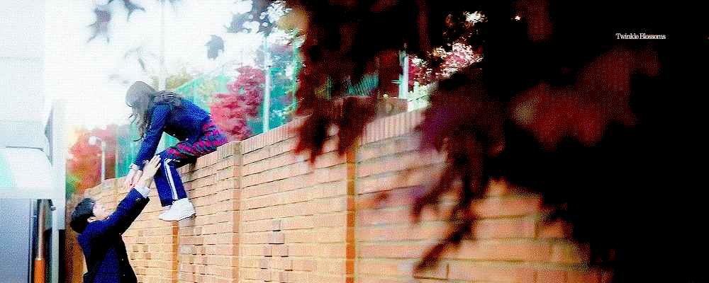 cbdqPy.gif