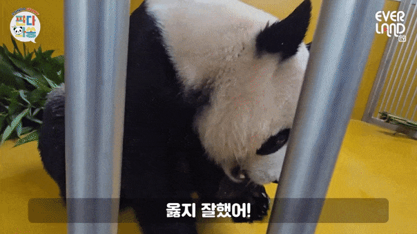 cckMCZ.gif