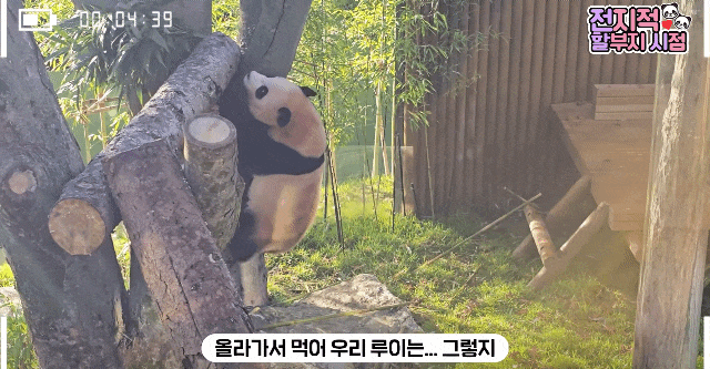 cgPqxw.gif
