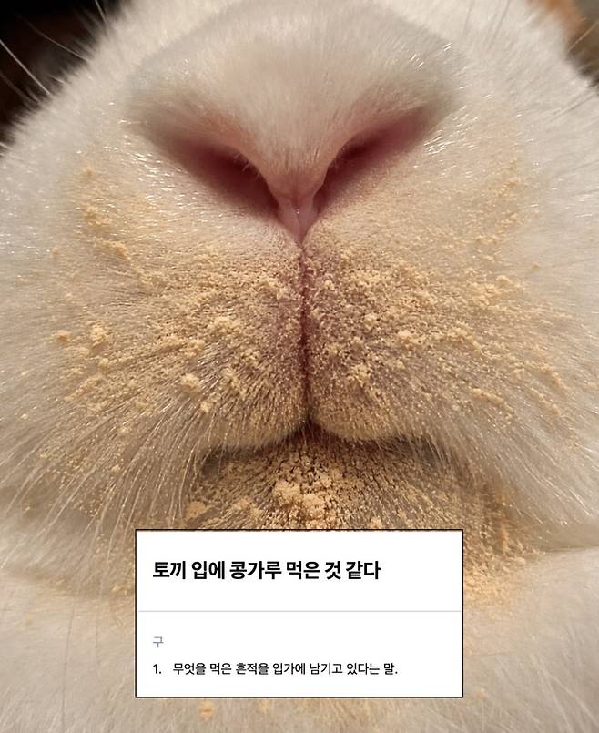 chEbjo