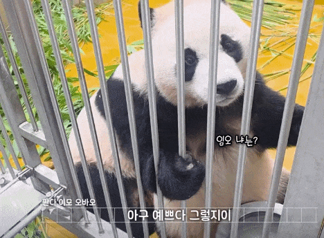 chRCpM.gif