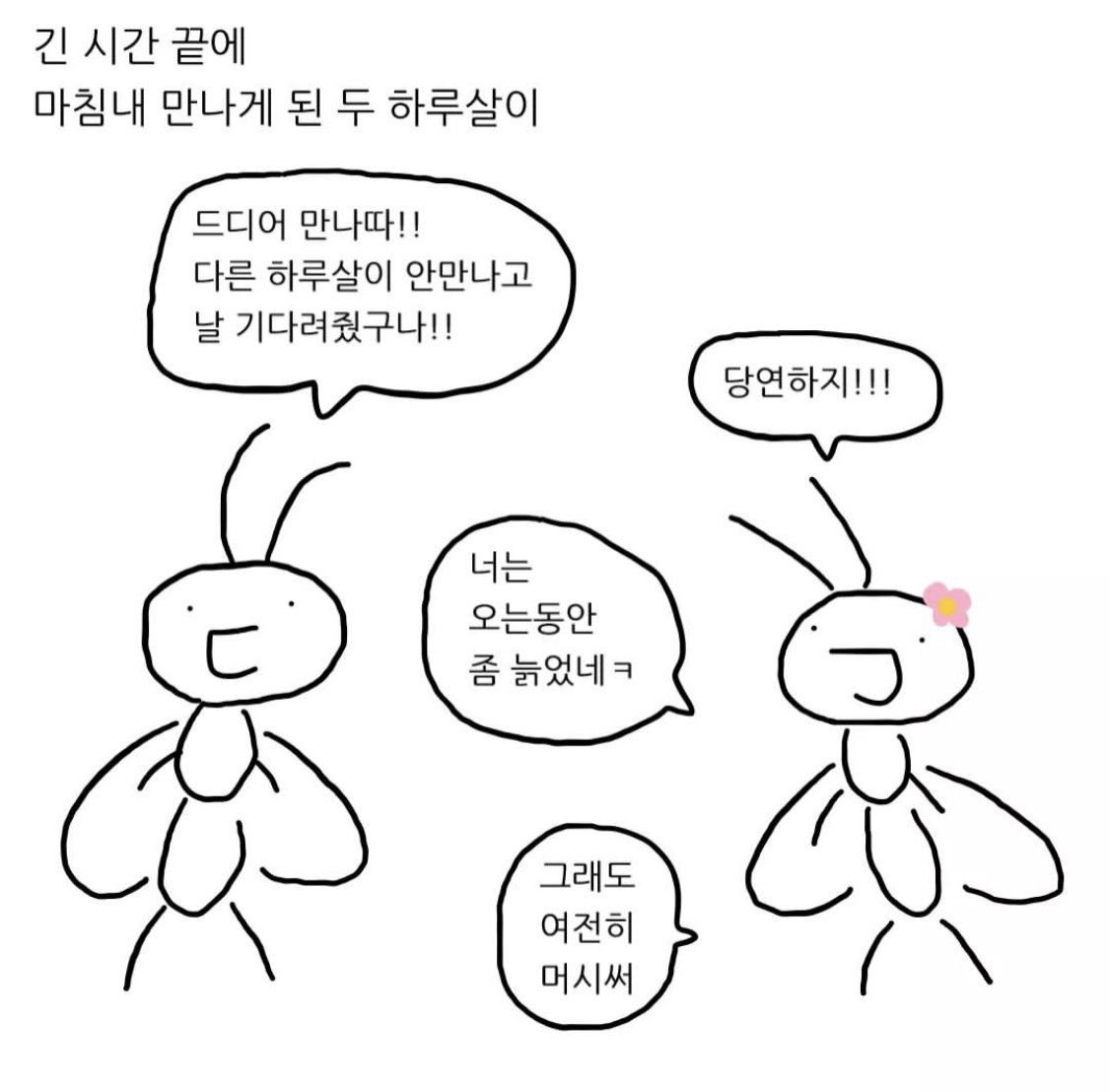 ciJxQq
