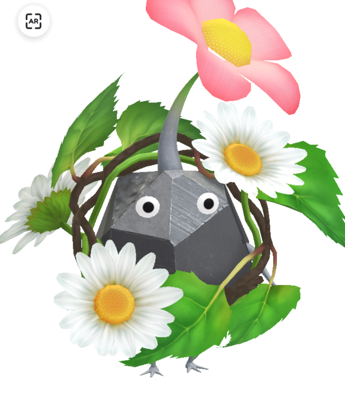 ciphui