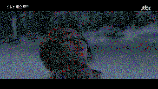 ciyLOG.gif