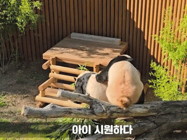 cltRlb.gif