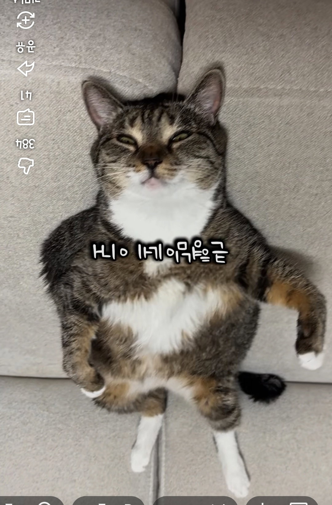 cmCoQQ