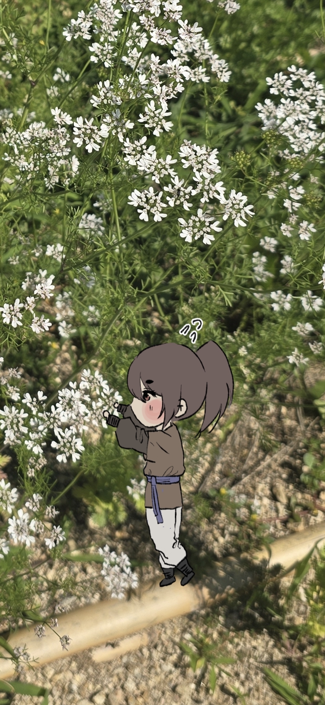 cnfdTi