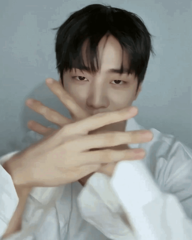 ctVirr.gif