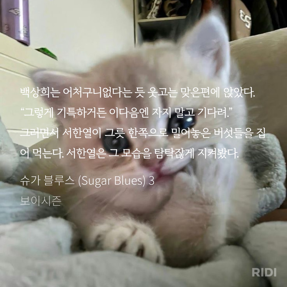 cuwSdN