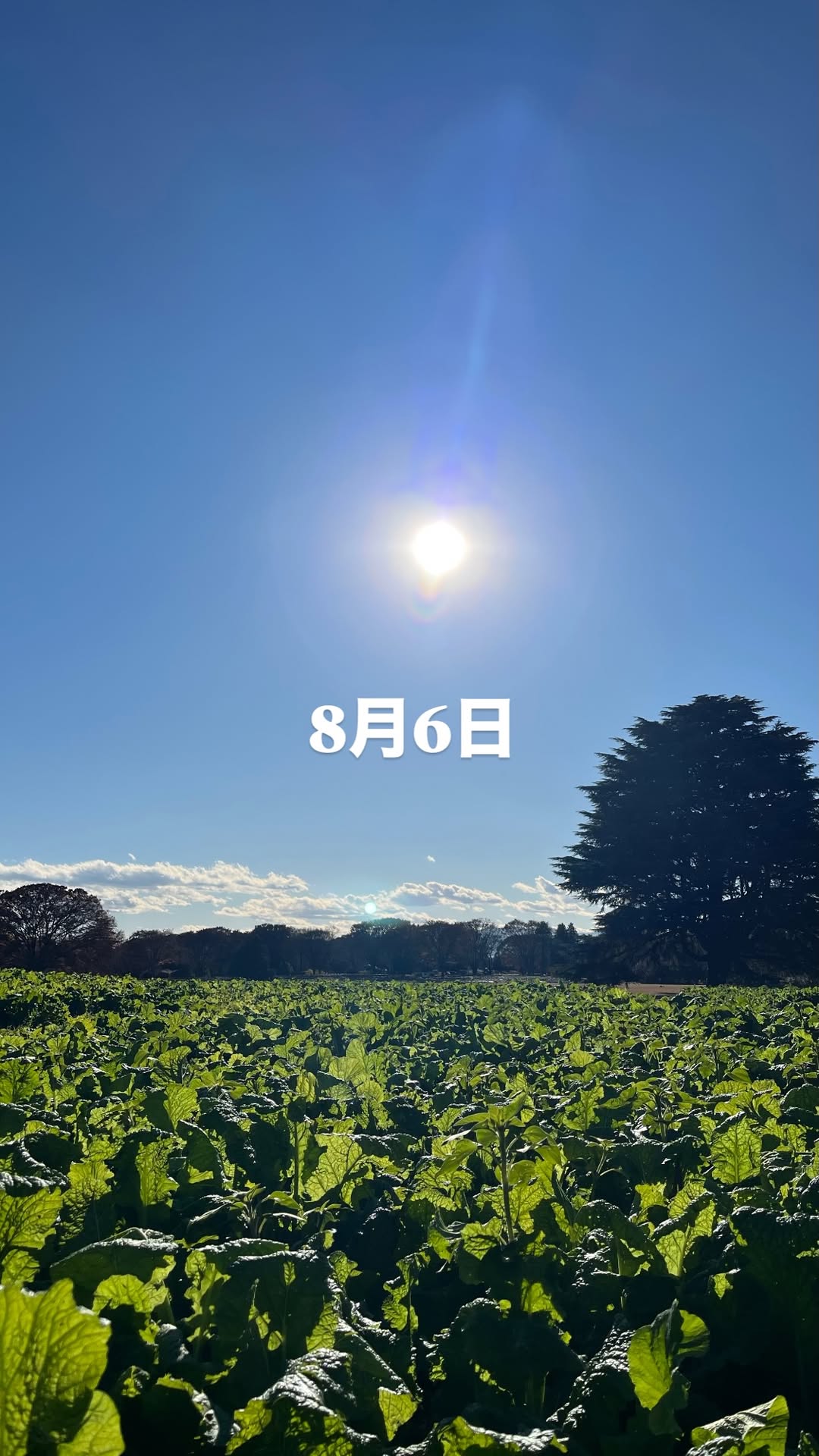 cwAlOp