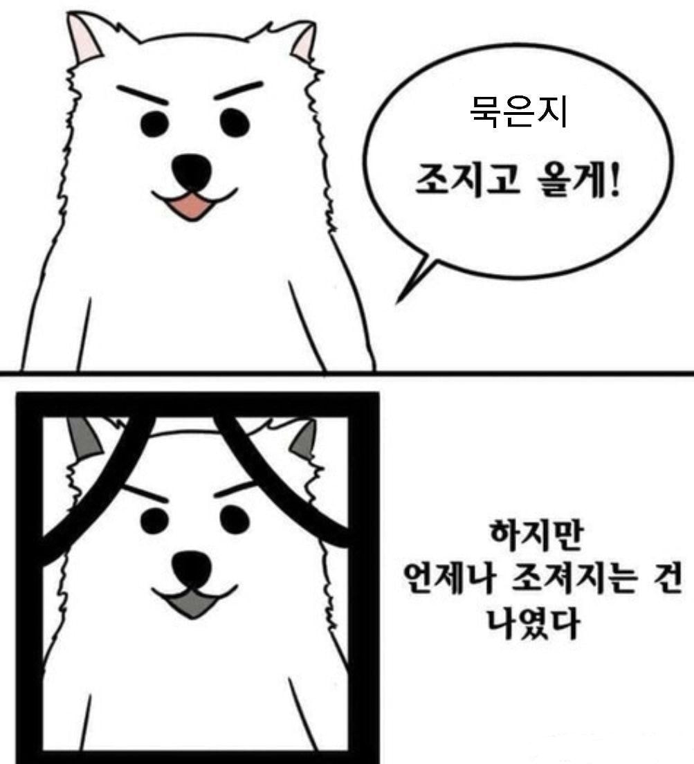 cwhDv.jpg