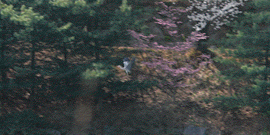 cxoEAz.gif
