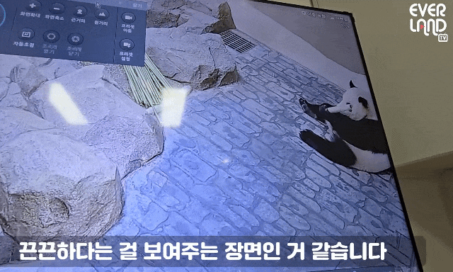 dBBIqs.gif