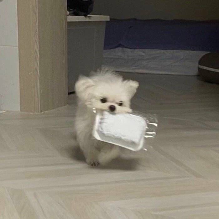 dBOXpU
