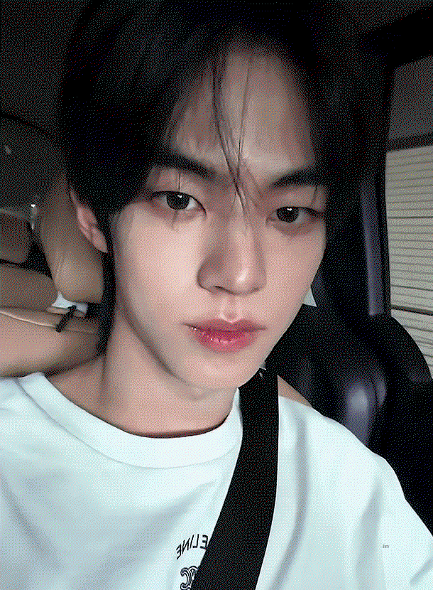 dBunOk.gif