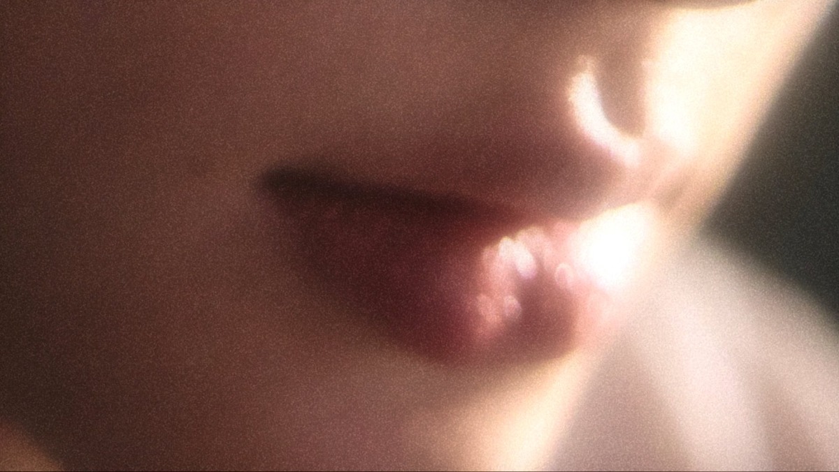 dJFnsJ