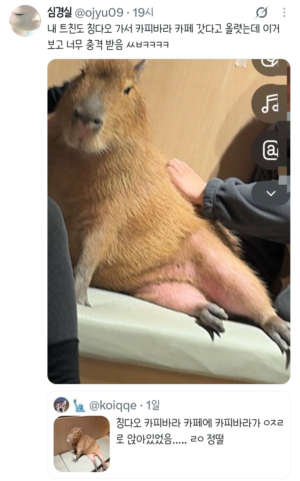 dJgpGN