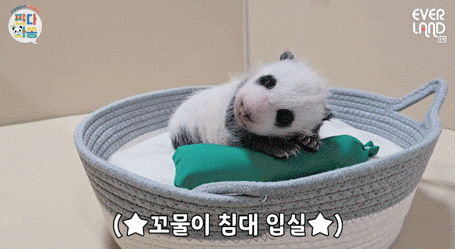 dKrJeQ.gif