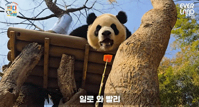dNtrCq.gif