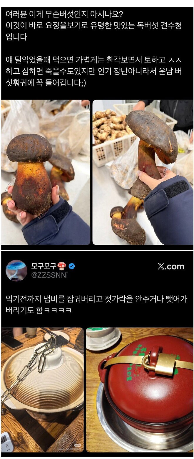 dRfIaY