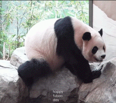 dRlCcl.gif