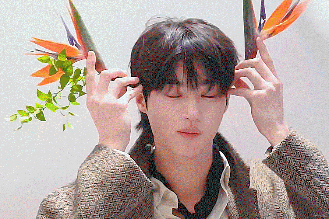 dRrVxb.gif