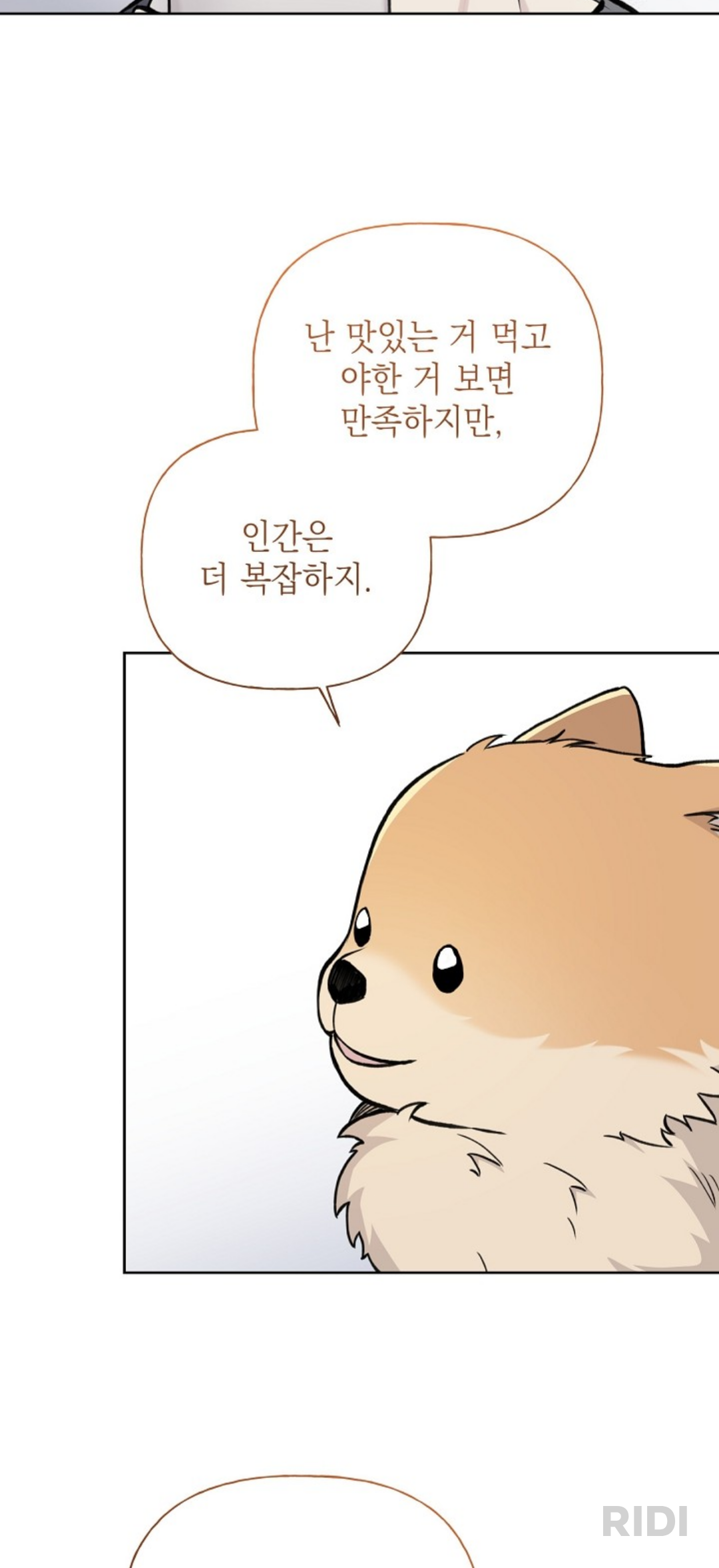 dShJXJ