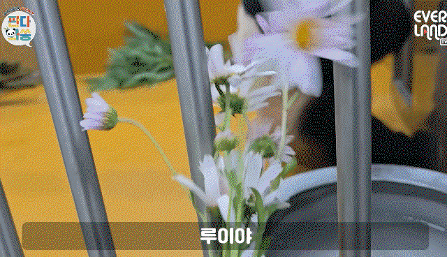 dVqrkW.gif