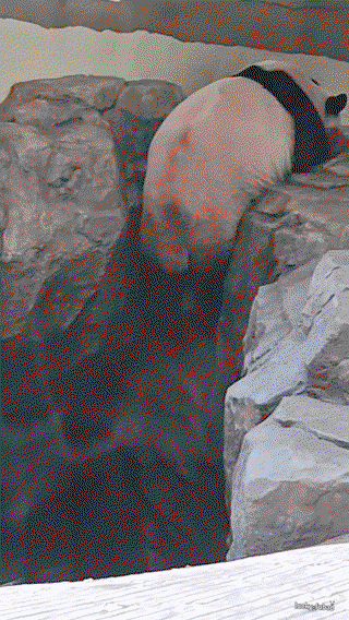 dVuwNX.gif