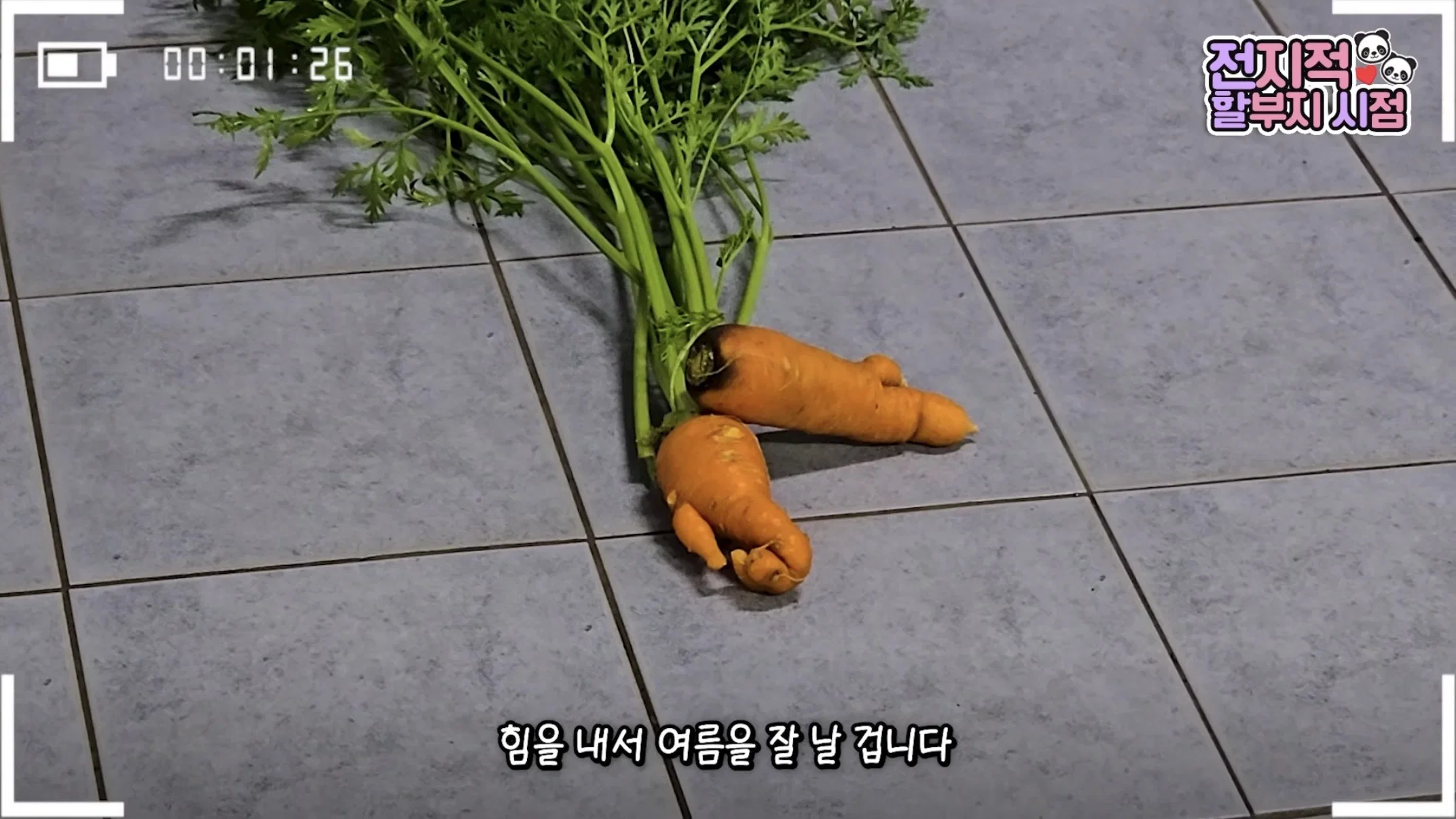 dXOJdi
