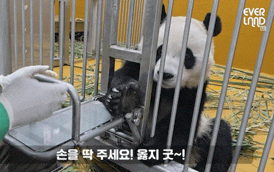 dXeqku.gif