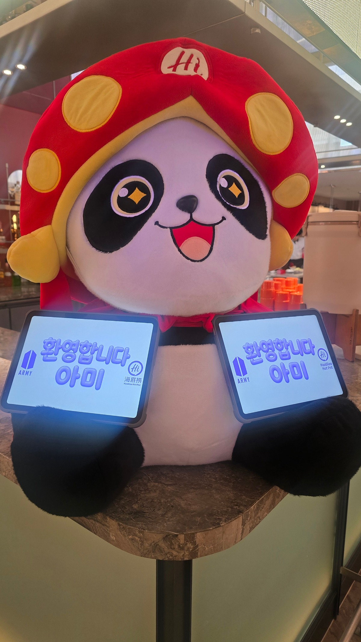 dYdDcd