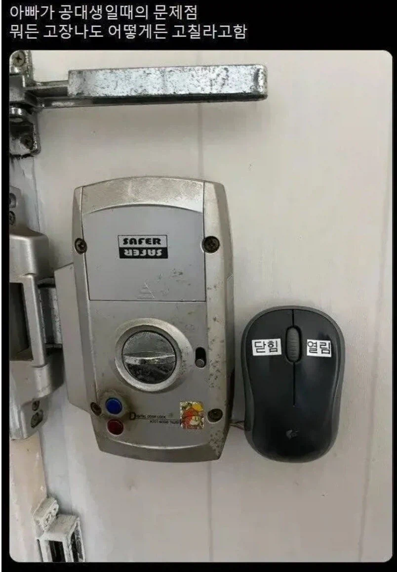 dZfFSW