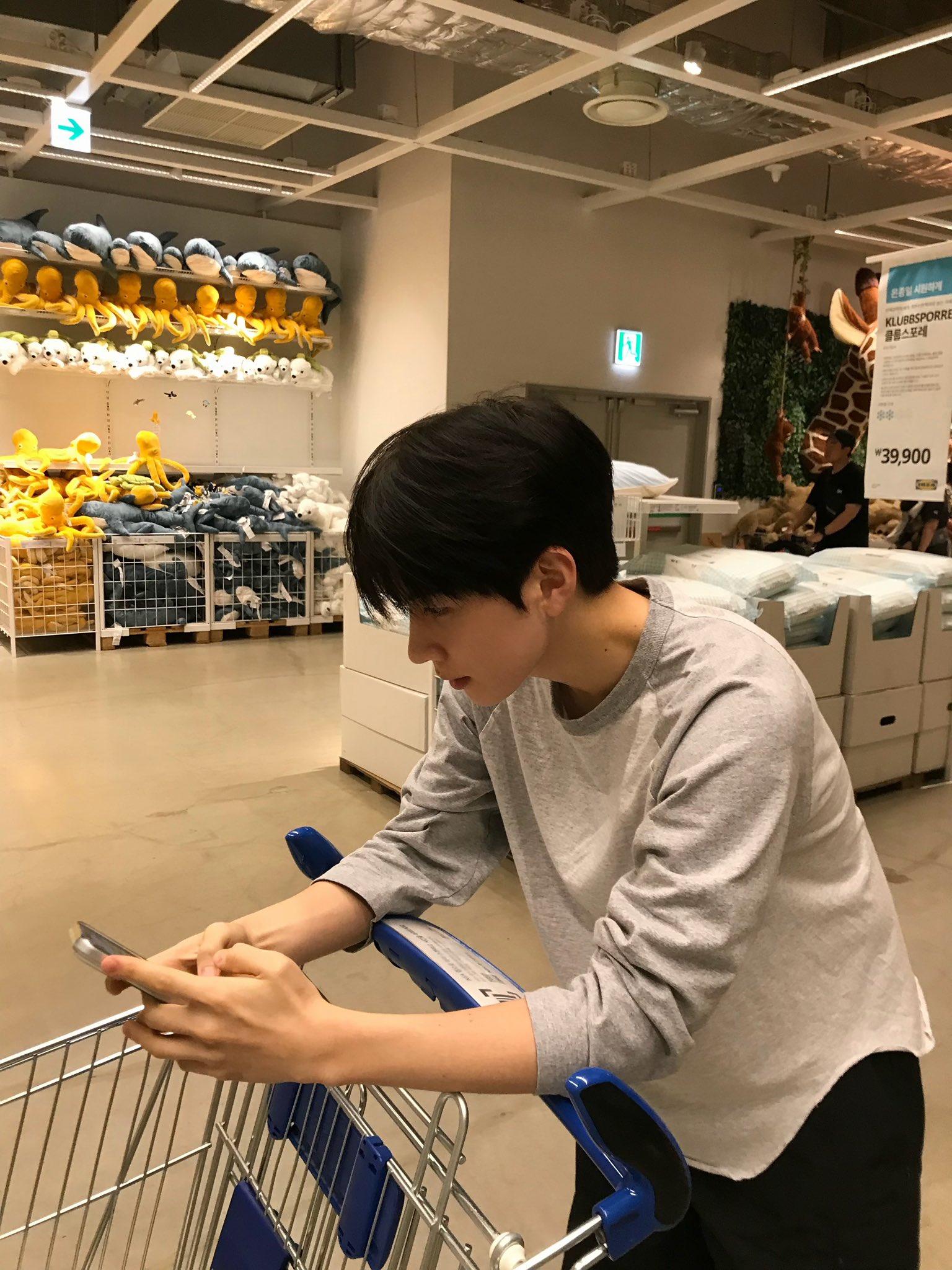 dbIoIP